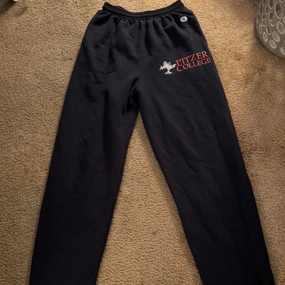 Thrifted navy champion sweats